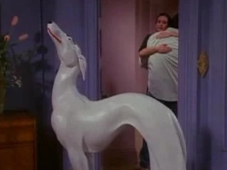 Despre "cainele" din apartamentul lui Chandler