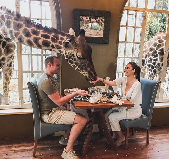 Cina cu girafe la Giraffe Manor din Nairobi
