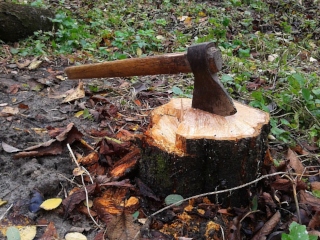 Razboiul Aroostook: decembrie 1838 - noiembrie 1839