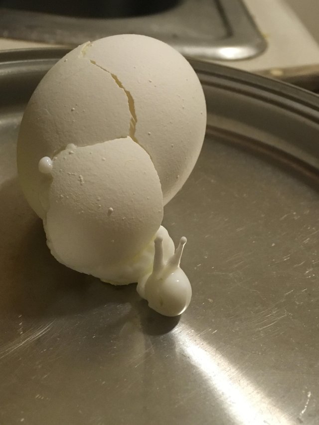 Un ou fiert din care iese un melc?
