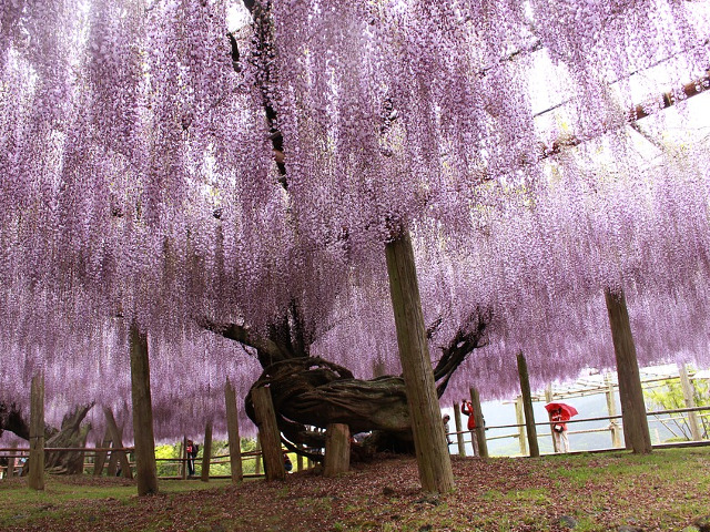Kitakyushu, prefectura Fukuoka