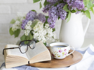 Se impodobeste casa cu plante