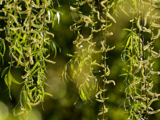 Cum sa scapi de durerile de mijloc