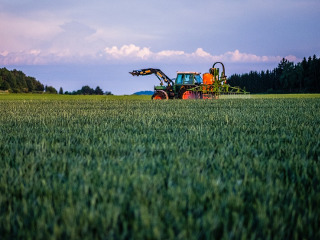 Muncile la camp, permise pana miercuri