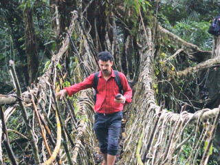 Poduri realizate in intregime din radacini