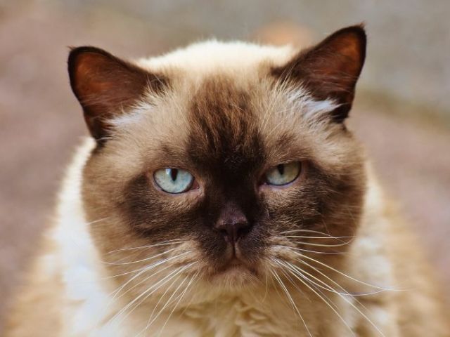 Se pare ca nu a avut o zi tocmai buna