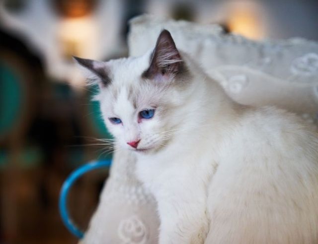 Ganditoare si nemultumita