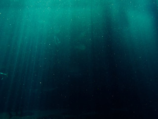 Exista conexiune la internet in ocean