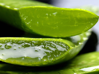Aloe vera pentru corp