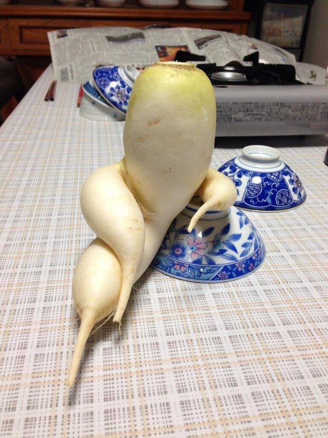 O ridichie sofisticata