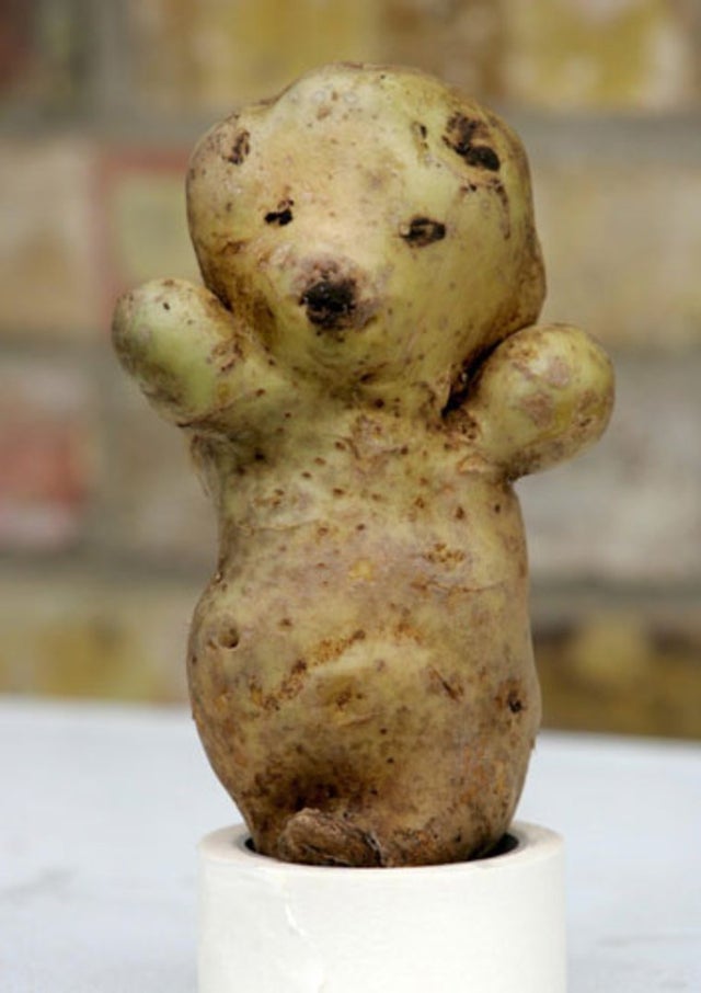 Un cartof-ursulet