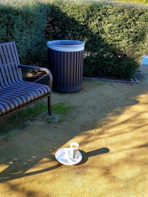 Cu gunoiul la doi pasi la propriu de cos