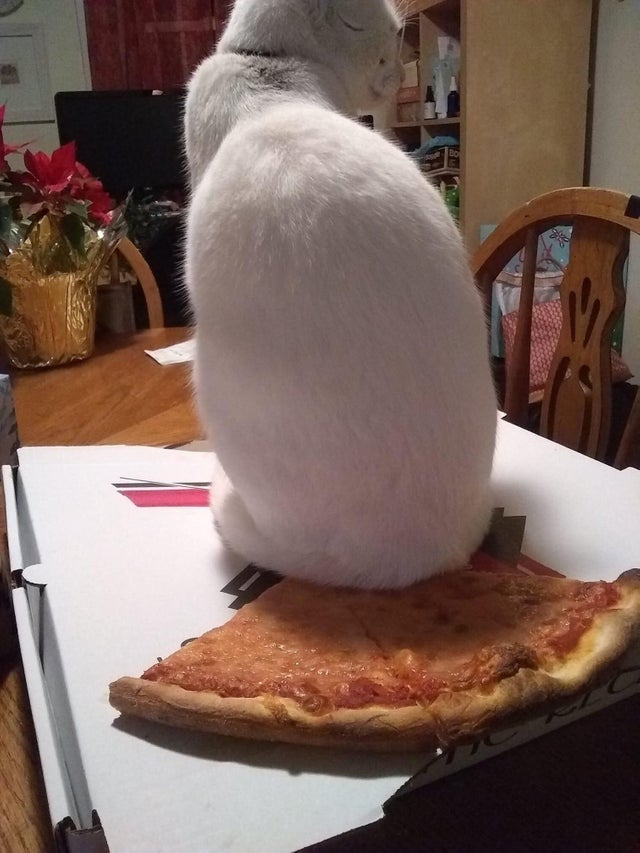 Pizza cu altfel de aroma