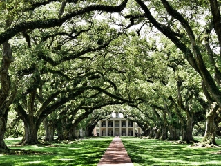 Araminta Ross sau salvatoarea de sclavi