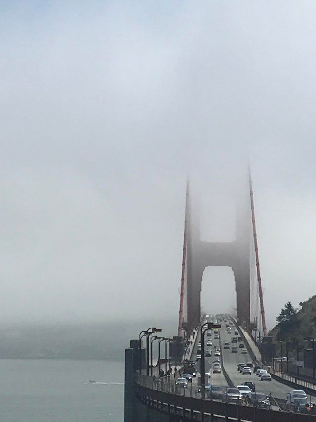 Tot ce a reusit sa prinda din Golden Gate Bridge. Insa, este un caz fericit...