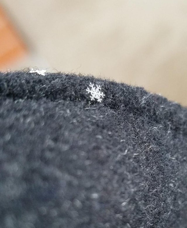 Un fulg de zapada in forma lui naturala