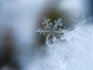 Cel mai mare fulg de nea