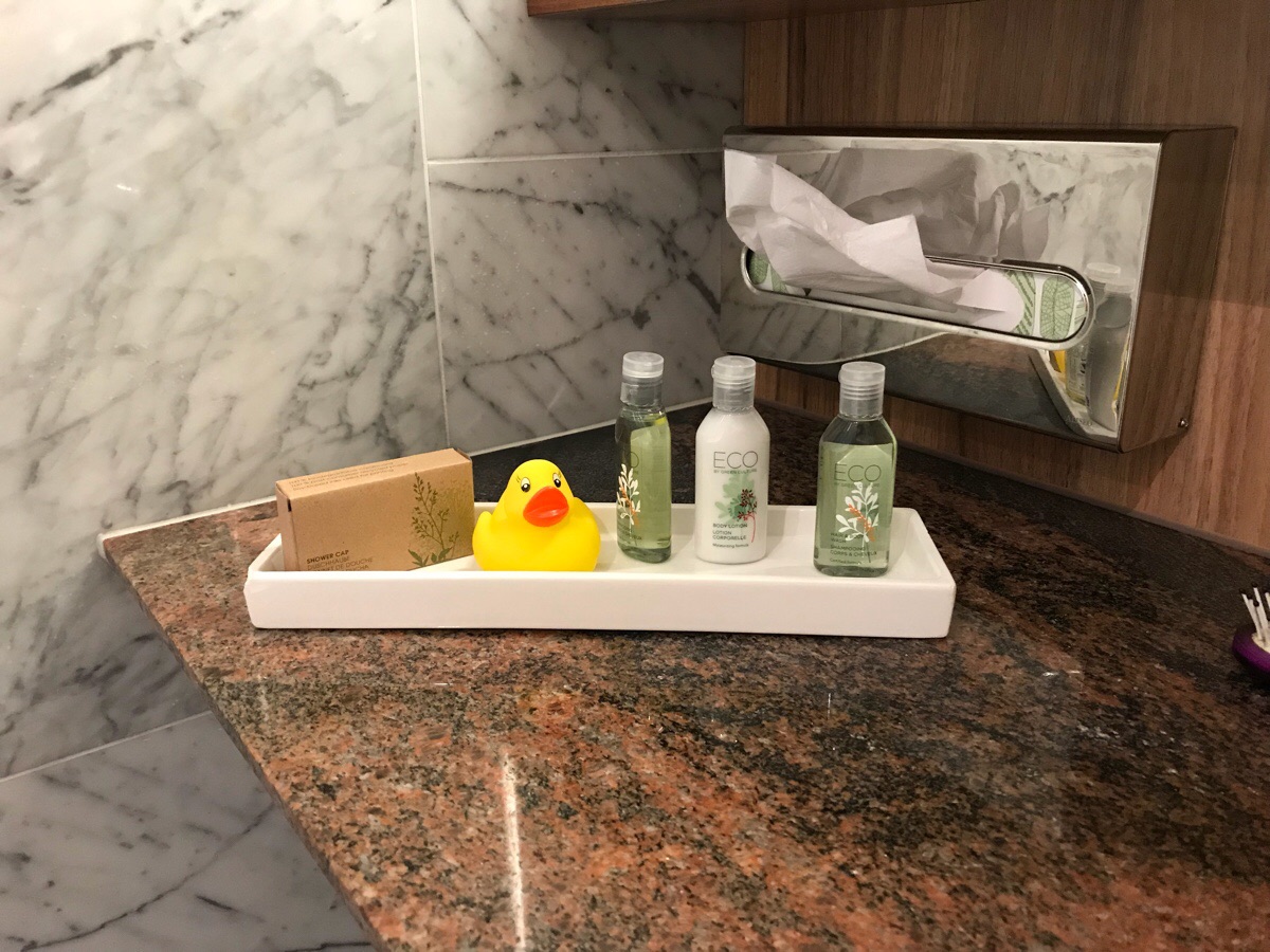 O ratusca pentru baie, la un hotel din Elvetia