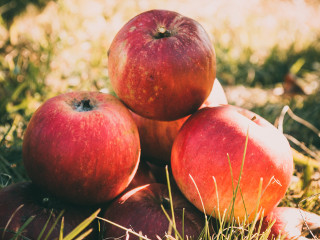 Nu se mananca fructe si legume rotunde