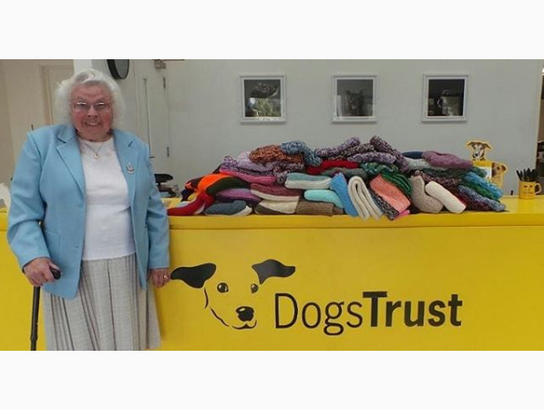 Hainute crosetate pentru cainii fara stapan, de o batrana cu inima mare