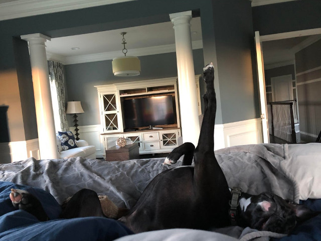 Pare sa se simta excelent