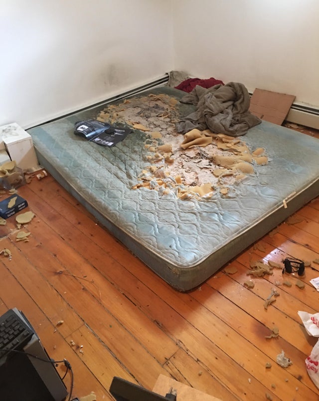 I-a plecat colegul de apartament dupa 3 ani si i-a lasat asta: