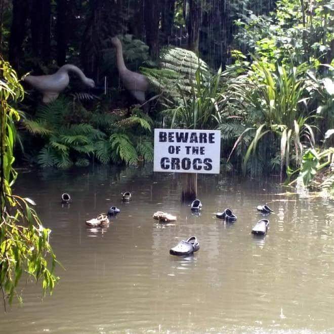 Papucii 'crocs', pusi in locul crocodililor. Sigur musca...