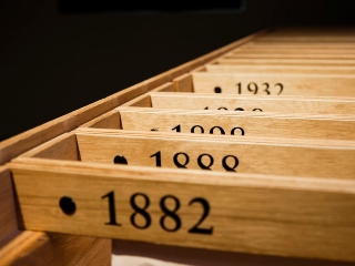 Traiesti pana la 100 de ani
