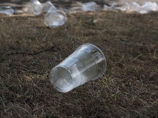 Paharele din plastic, zeci de ani pentru descompunere