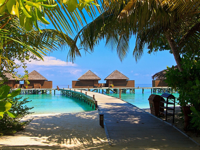 Insulele Maldive