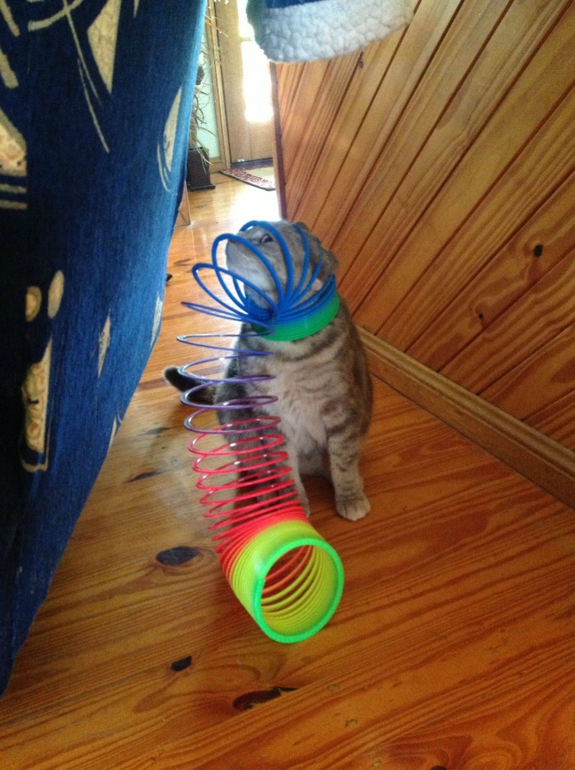Probabil a vrut sa fie cu adevarat in pas cu moda