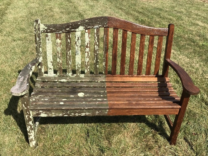 Asta se intampla cu o banca de gradina daca nu o cureti timp de 16 ani: