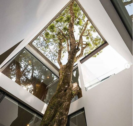 Imagineaza-ti cum ar fi sa te trezesti in fiecare dimineata in aceasta casa de vis