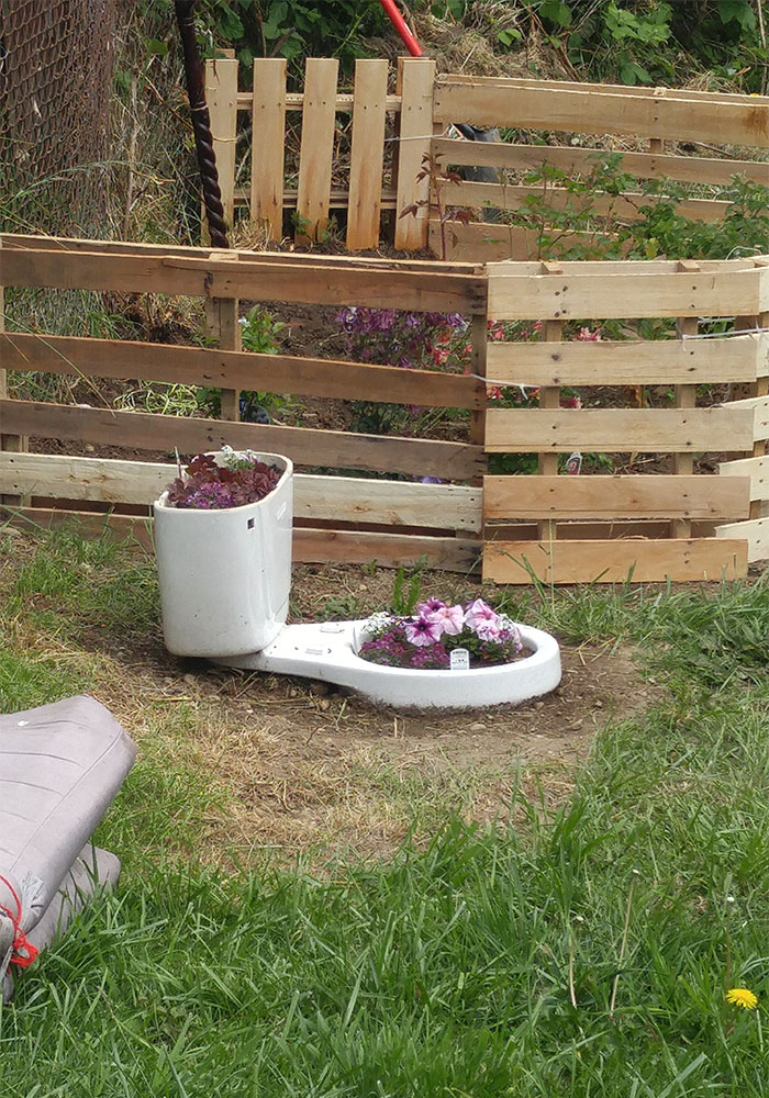 O alta toaleta veche refolosita in mod... creativ