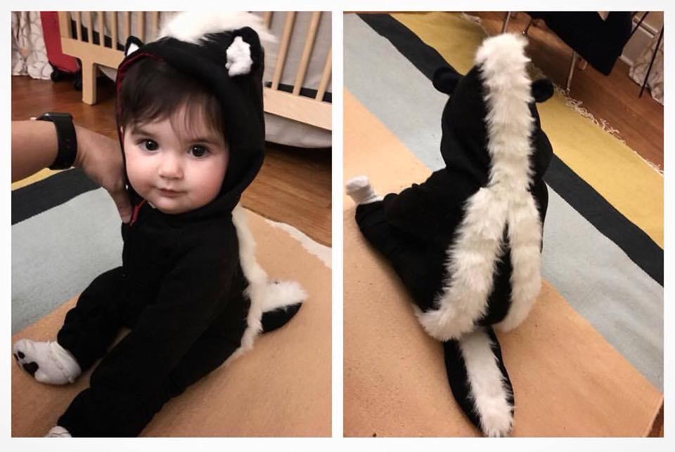 Cel mai dragut sconcs