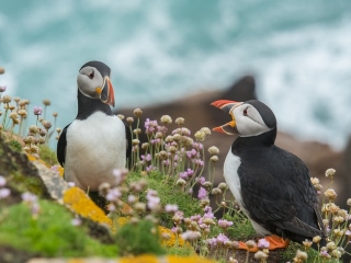 Vorbesti in loc sa asculti