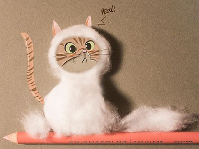 Cea mai simpatica pisica