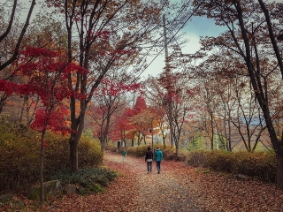 Timp petrecut in aer liber