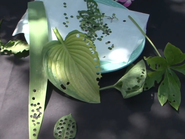 Confetti realizate din frunze