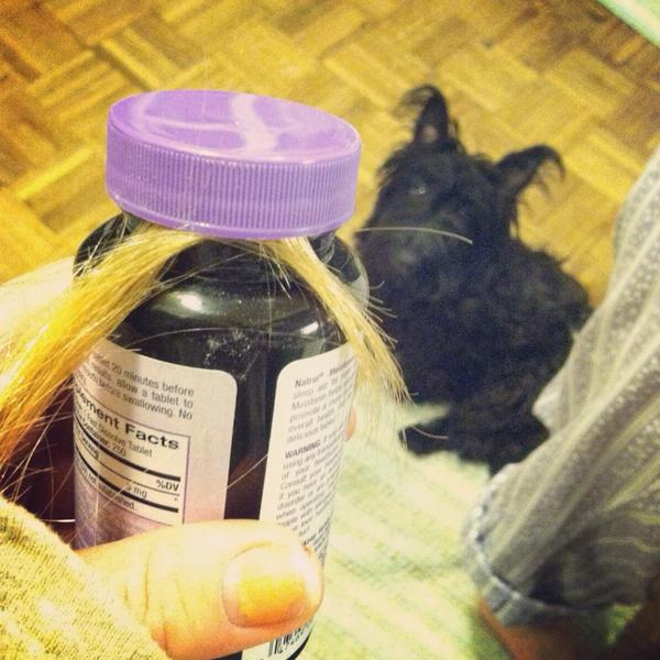 Cand ai parul lung, niciodata nu stii in ce ti se poate prinde