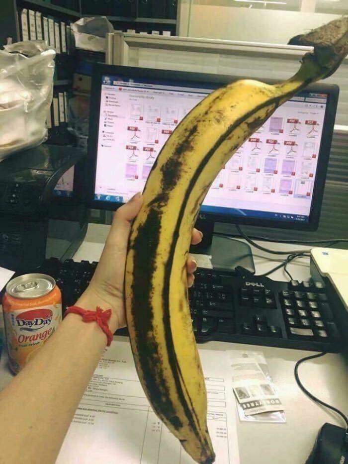 Banana gigant