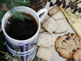 In satiosii crackersi