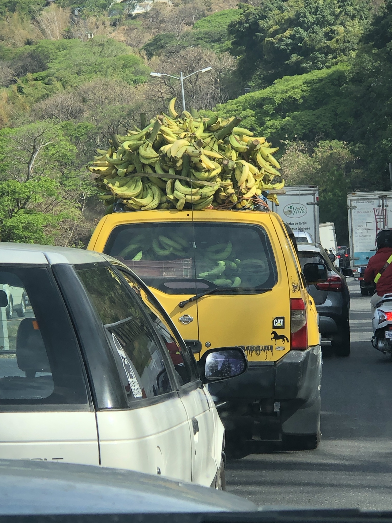 Cand nu mai ai loc sa pui banane in masina ce faci? Urmezi exemplul?