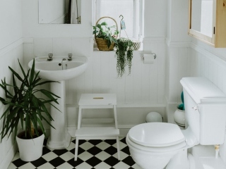 Nu este acceptabil sa faci asta in baie