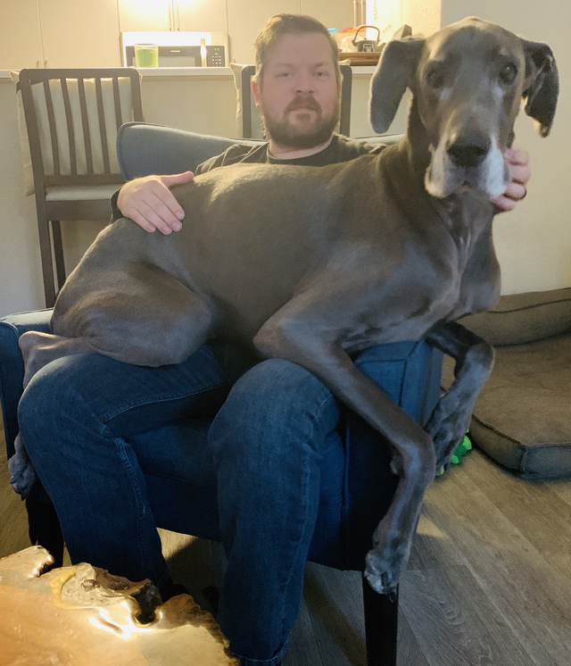 Catelusa inca are impresia ca este mica...