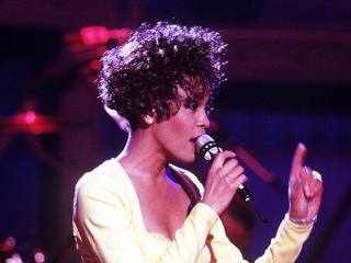 Concert privat cu Whitney Houston