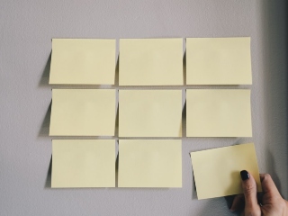 Coloreaza si sorteaza