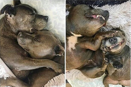 Cand adormiti vs dupa cateva ore: