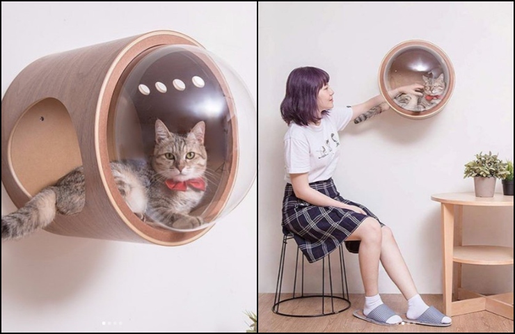 O alternativa moderna pentru locul de relaxare al pisicii
