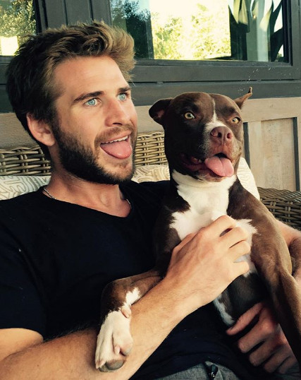 Liam Hemsworth si cainele sau seamana foarte mult
